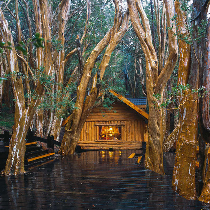 Arrayanes Forest